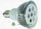 LED PAR Lights